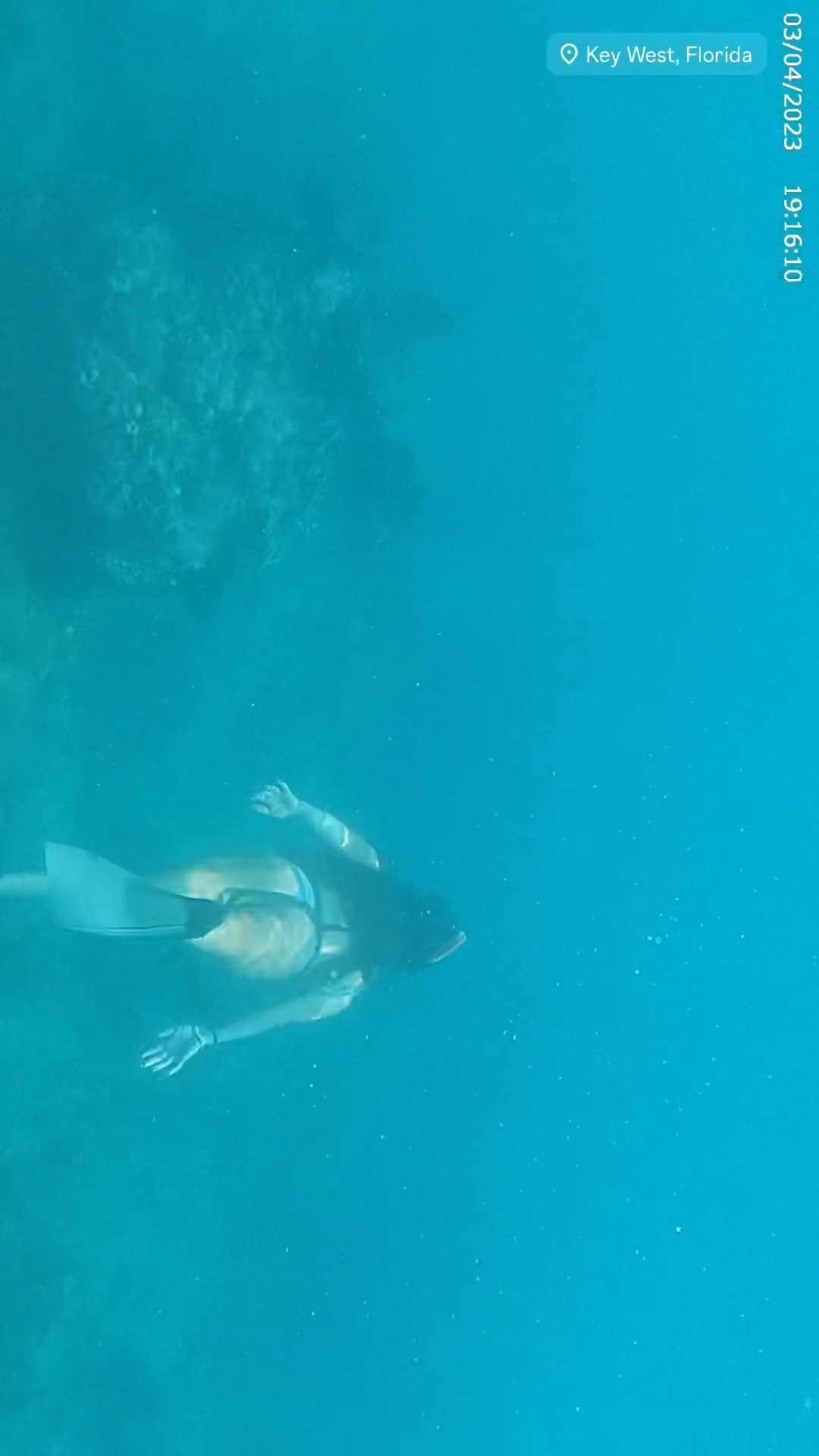 Use @Viator While Visiting Miami To Discover Endless Opportunities & Adventures Waiting For You! Take A Relaxing Day Trip To Key West For Some Snorkeling Fun & Exploring 🪽❤️

#LTKTravel #LTKFamily #LTKSwim