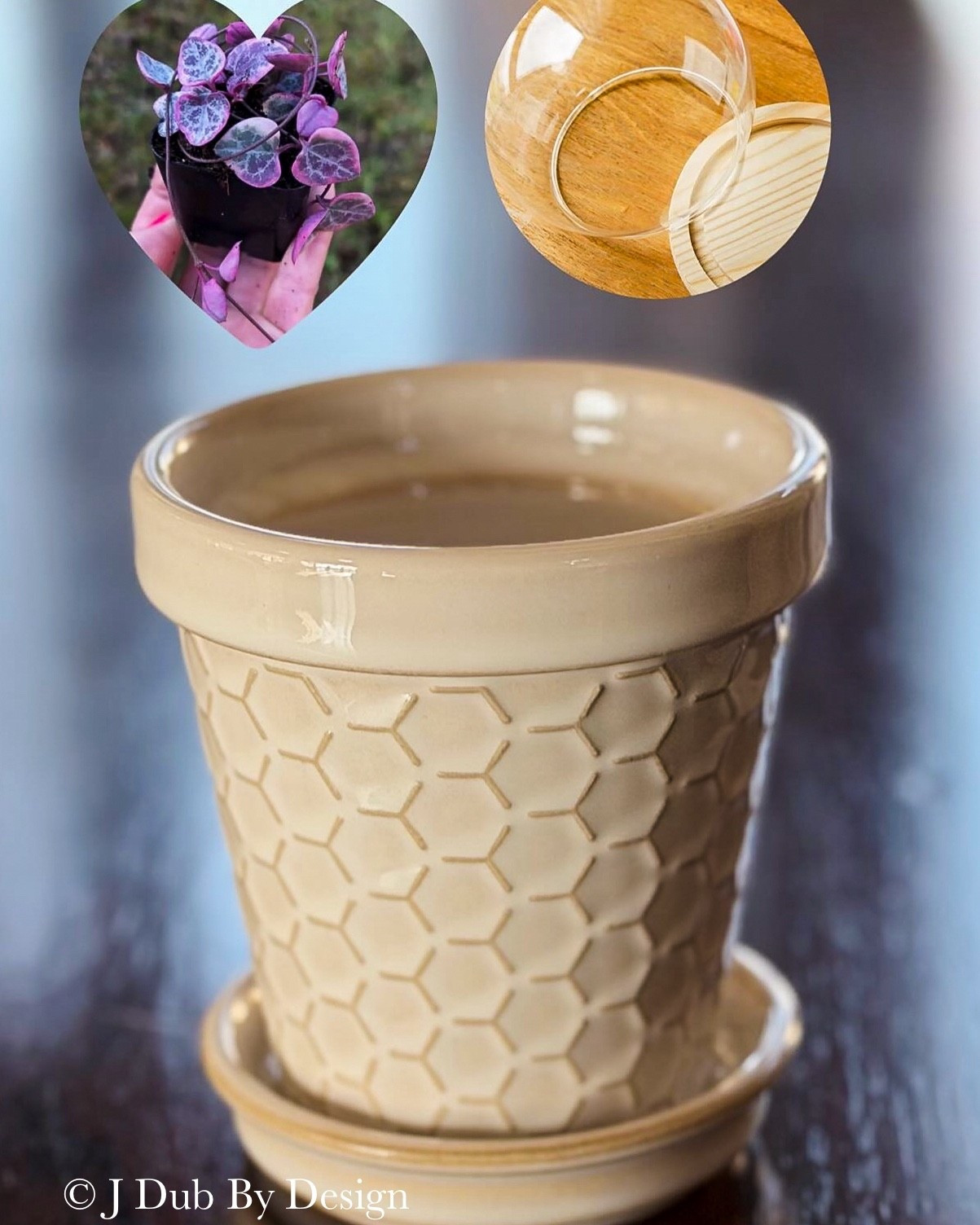 Valentines Party Favors, Galentines Gifts, houseplants

#LTKFindsUnder50 #LTKHome