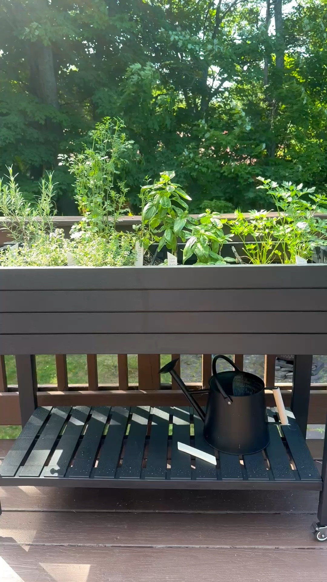 Herb Garden with handcrafted clay garden markers. 

Handmade Clay Garden Markers:

https://www.wildfeaturescollective.com/products/herb-garden-markers

#LTKSeasonal #LTKHome #LTKdayinmylife