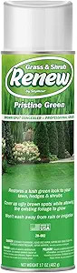 Seymour 20-602 Grass and Shrub Renew Spray Paint, Pristine Green (17 oz.) | Amazon (US)