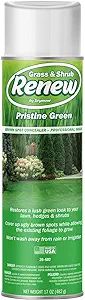 Seymour 20-602 Grass and Shrub Renew Spray Paint, Pristine Green (17 oz.) | Amazon (US)