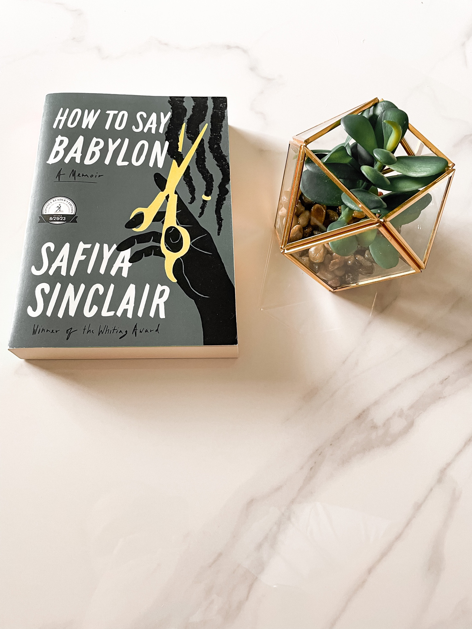 Book, book to read, fake plant, shelf decor, table decor, coffee table

#LTKhome #LTKunder50