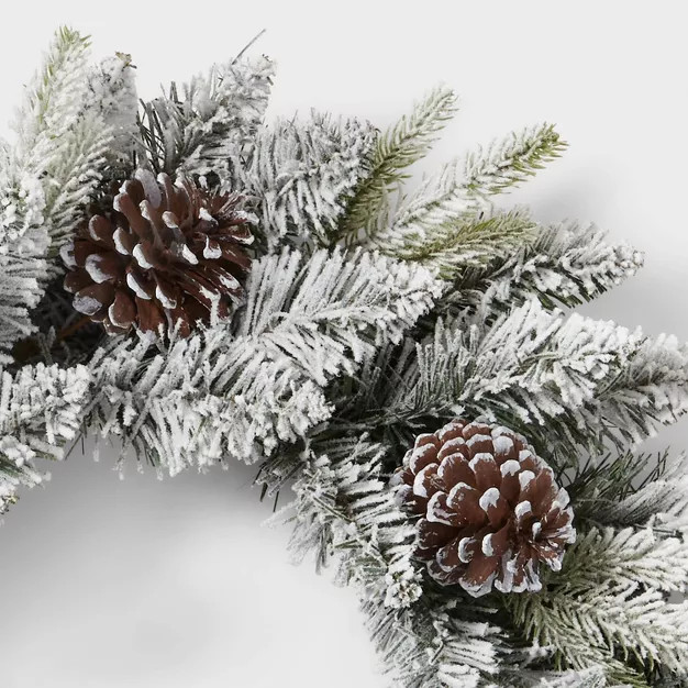 22" Flocked Mixed Greenery with Pinecones Artificial Christmas Wreath - Wondershop™ | Target