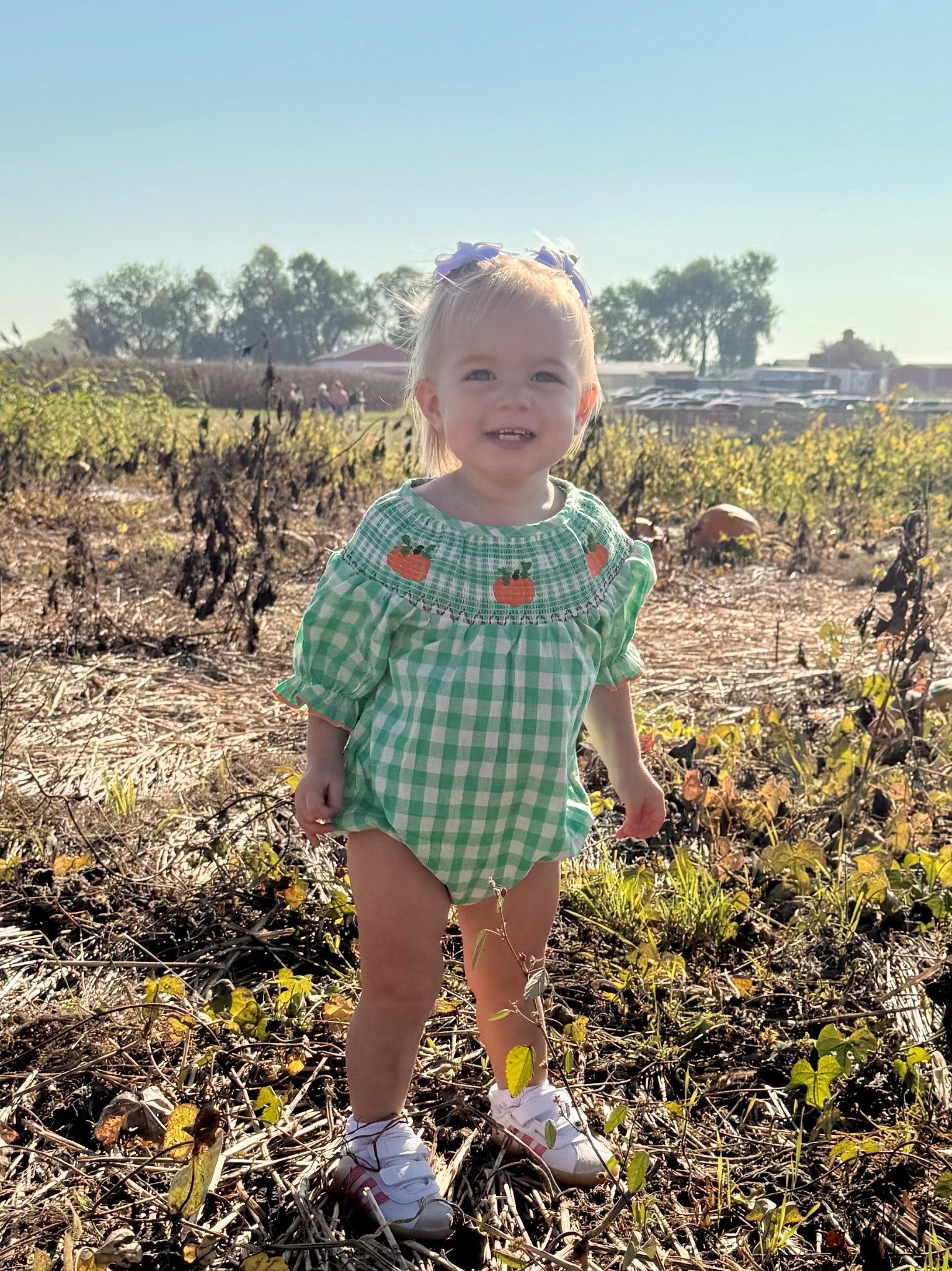 Affordable baby & toddler fall outfit from Amazon! Perfect for the pumpkin patch 🎃

#LTKKids #LTKBaby #LTKSeasonal