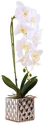 Imiee Artificial Arrangement with Vase Decorative Orchid Flower Bonsai | Amazon (US)