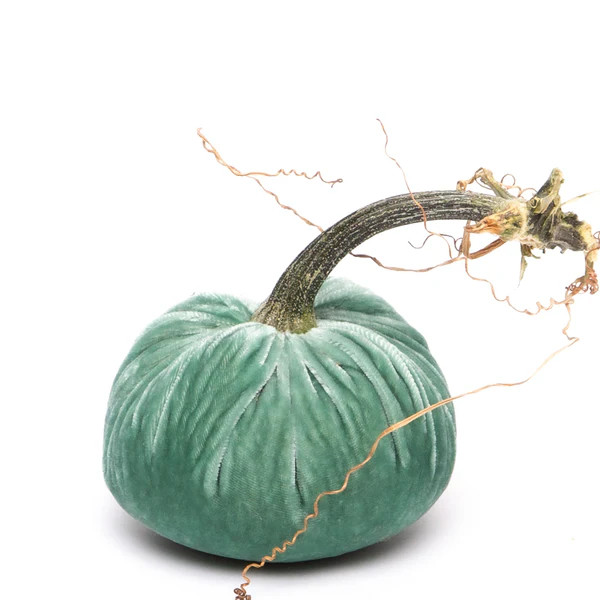 Lagoon Silk Velvet Pumpkin | Hot Skwash