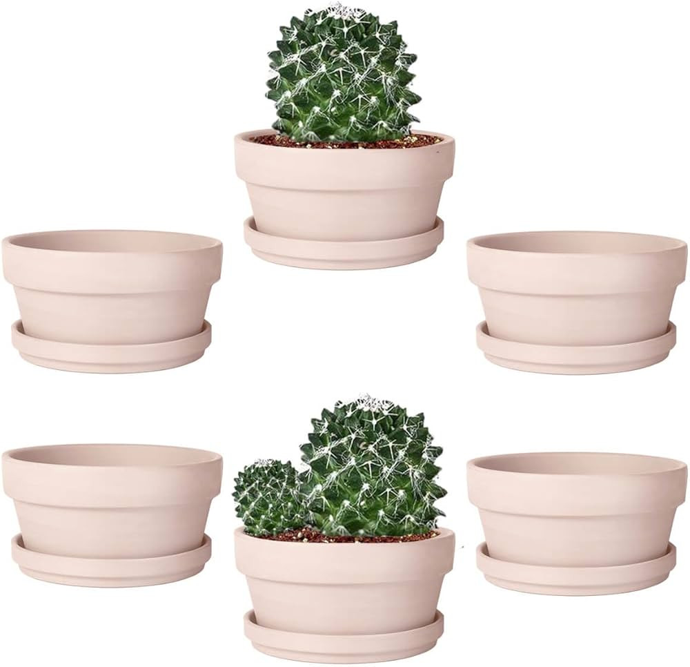 vensovo 5.7 Inch Pink Terracotta Shallow Succulent Pot - 6 Pack Terra Cotta Clay Pots with Saucer... | Amazon (US)