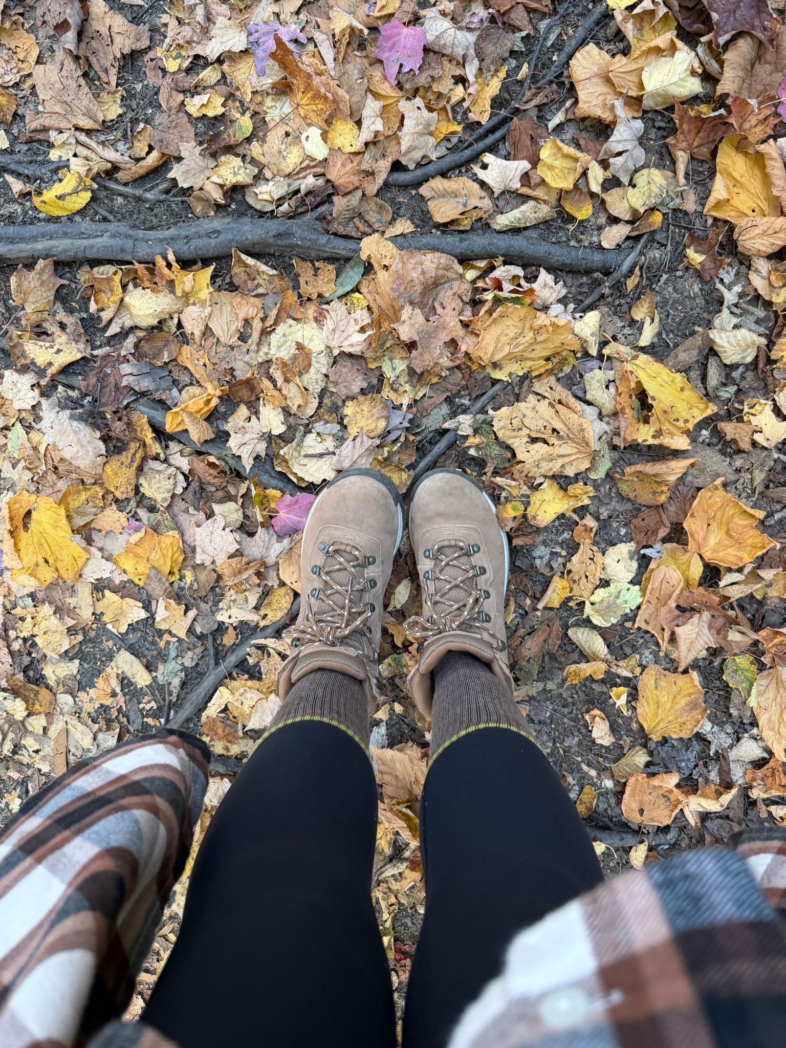 Hiking boots on sale! Fit TTS!

Amazon finds, amazon fashion, amazon prime deals, prime day deals, #ltkrefresh #ltkseasonal #ltkhome  #ltkstyletip #ltktravel #ltkwedding #ltkbeauty #ltkcurves #ltkfamily #ltkfit #ltksalealert #ltkshoecrush #ltkstyletip #ltkswim #ltkunder50 #ltkunder100 #ltkworkwear #ltkgetaway #ltkbag #nordstromsale #targetstyle #amazonfinds #fallfashion #nsale #amazon #target #affordablefashion #ltkholiday #ltkgift #LTKGiftGuide #ltkgift #ltkholiday #ltksale #ltkxprimeday

#LTKSeasonal #LTKSaleAlert #LTKFindsUnder100