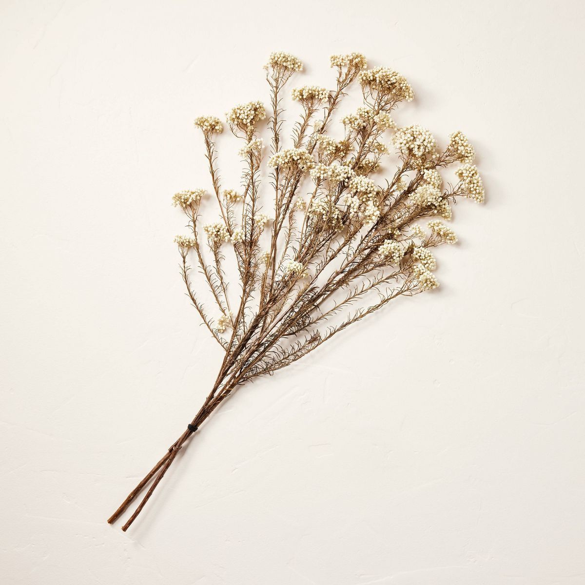 23" Preserved Rice Flower Stems Bundle - Hearth & Hand™ with Magnolia | Target
