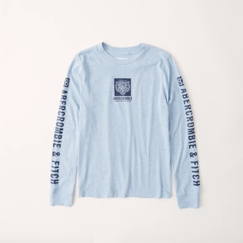 printed graphic logo tee | Abercrombie & Fitch (US)