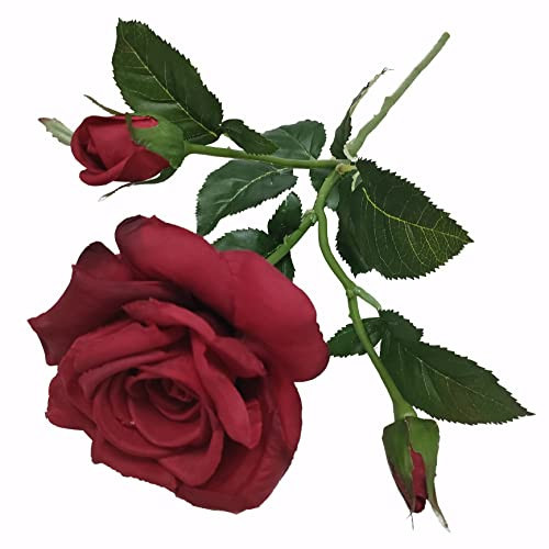 ATFL 4 Pcs Real Touch Red Roses Artificial Flowers,Fake Silk Red Flowers with Stems for Wedding Arrangement Centerpieces Party Decorations | Amazon (US)