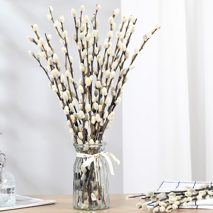 Natural Preserved Dried PussyWillow Branches for Vases, 15 Stems Real Willows, 17" Snow Pussywill... | Amazon (US)