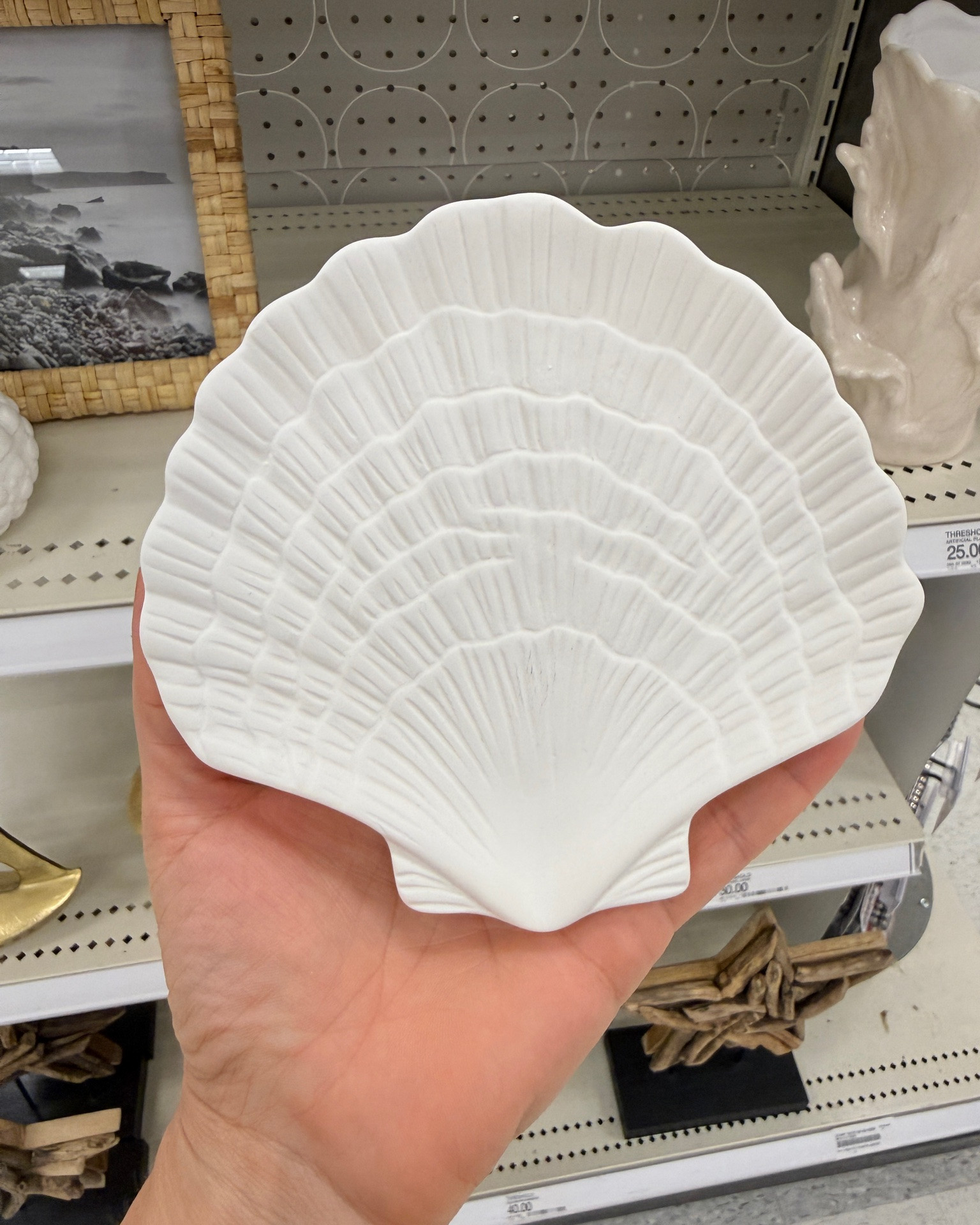 Always finding the 🐚🤩🐚 

 #seashelldecor #beachhouse #LTKHome