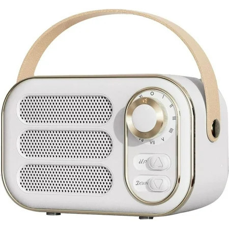 Retro Bluetooth Speaker,Vintage Portable Wireless Bluetooth Speakers with Loud Volume,Support TF Card,U Disk,AUX Input,Small Wireless Speaker for Home/Party/Office/Outdoor,Great Gifts for Adults Kids | Walmart (US)