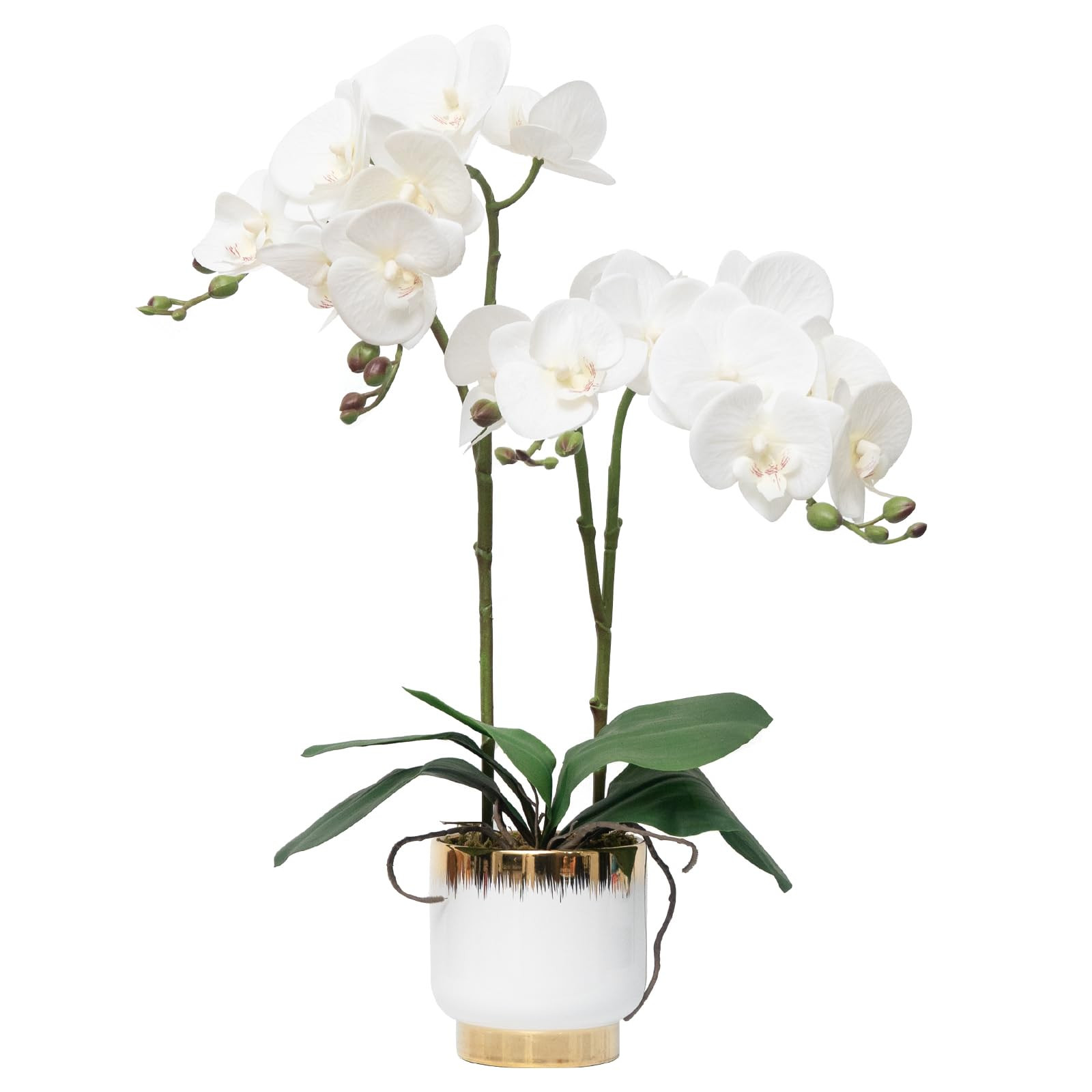 CXGS Orchids Artificial Flowers Real Touch Fake Flowers in Ceramic Pot 20" White Faux Orchid Plan... | Amazon (US)