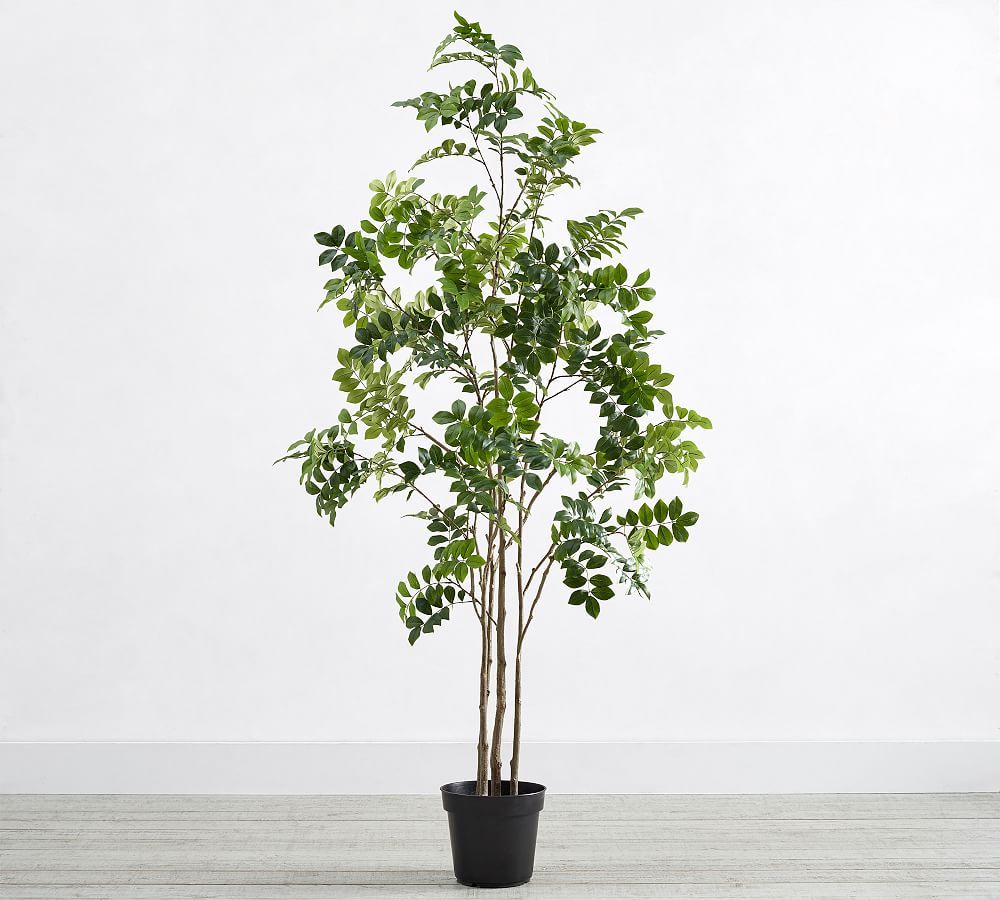 Faux Green Leaf Tree | Pottery Barn (US)