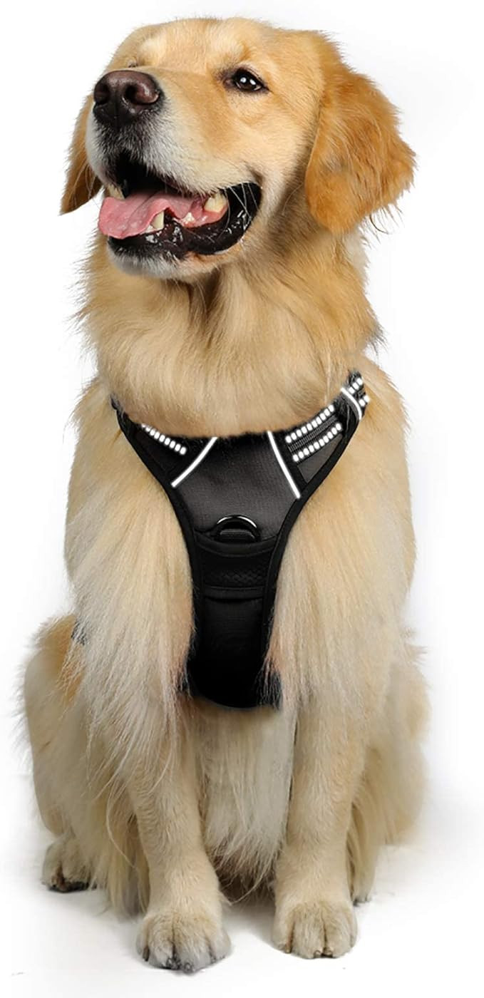 rabbitgoo Dog Harness, No-Pull Pet Harness with 2 Leash Clips, Adjustable Soft Padded Dog Vest, R... | Amazon (US)