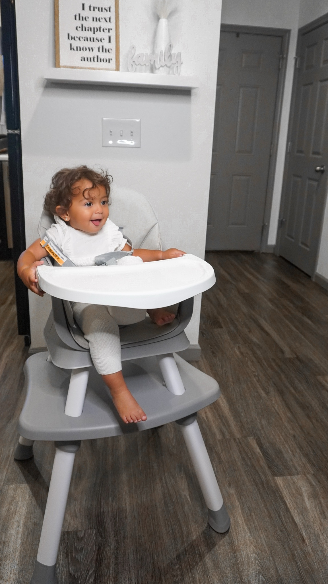 8 in 1 Baby High Chair! 😍

Convertible High Chair for Babies and Toddlers, Building Block Table, Stool Table Chair Set, Dining Booster Seat, Highchair with 5-Point Harness and Removable Tray!

We are in love! 🫶🏽🫶🏽

#LTKbaby #LTKHolidaySale #LTKkids