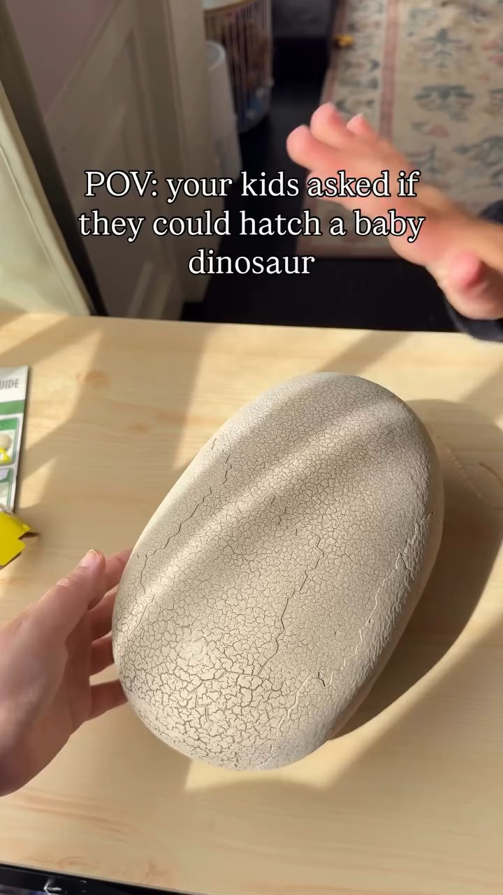 I knew what was going to happen and was still delightfully surprised. After he hatches you train him and there are some mini games you can do with the clicker. Comment DINO and I’ll send a link. Make sure you’re following for more new toy finds 🦖

#LTKHalloween