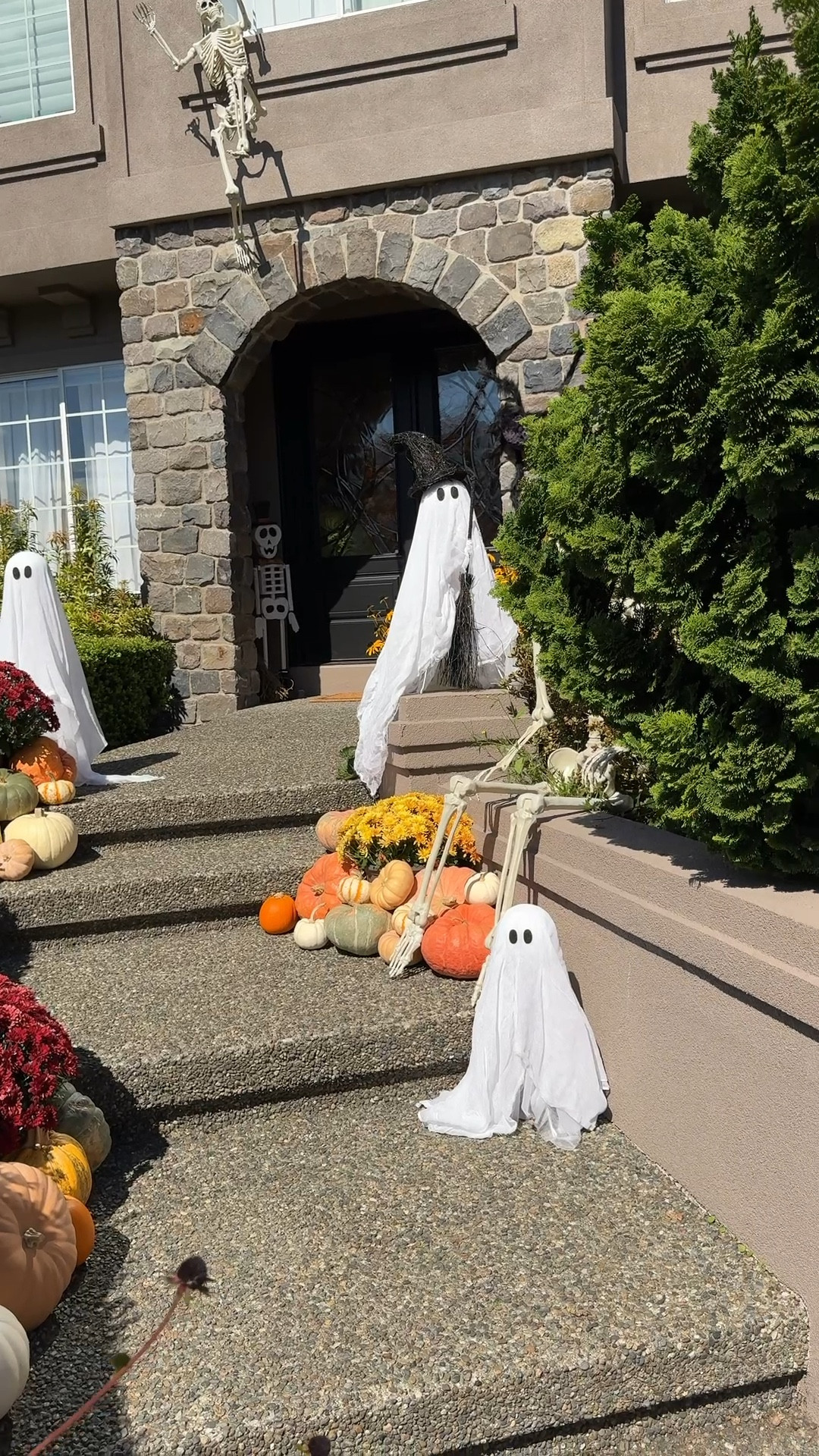 Halloween Home Decor 💀👻🎃🍂 Fall Home Decor 

#LTKSeasonal #LTKFindsUnder100 #LTKHome