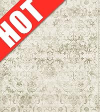 Vintage Living Room Area Rug 5x7 for Dining Room, Washable Distressed Farmhouse Soft Thin Non-She... | Amazon (CA)