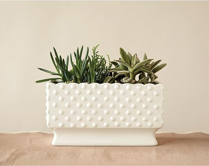Creative Co-Op White Hobnail Rectangle Ceramic Planter | Amazon (US)