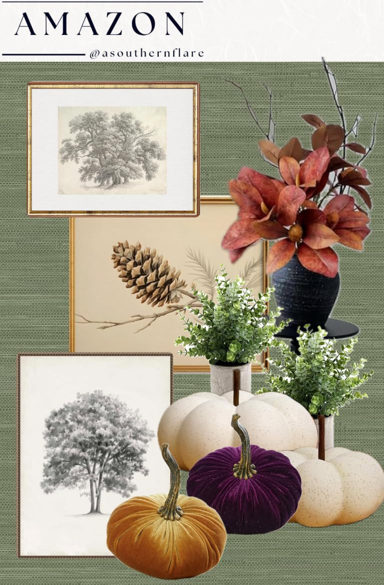 Amazon  | Amazon (US)