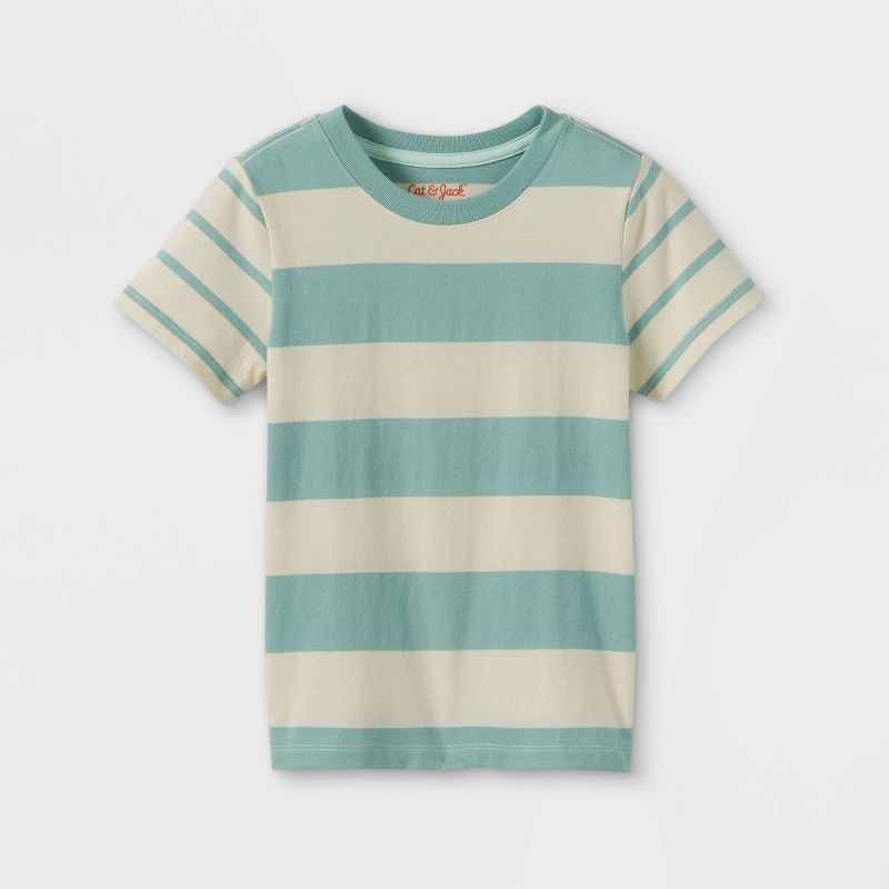 Toddler Boys' Jersey Knit Short Sleeve T-Shirt - Cat & Jack™ | Target