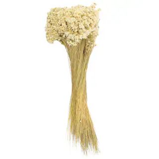 Natural Campo Flowers Decorative Naturals by Ashland® | Michaels Stores