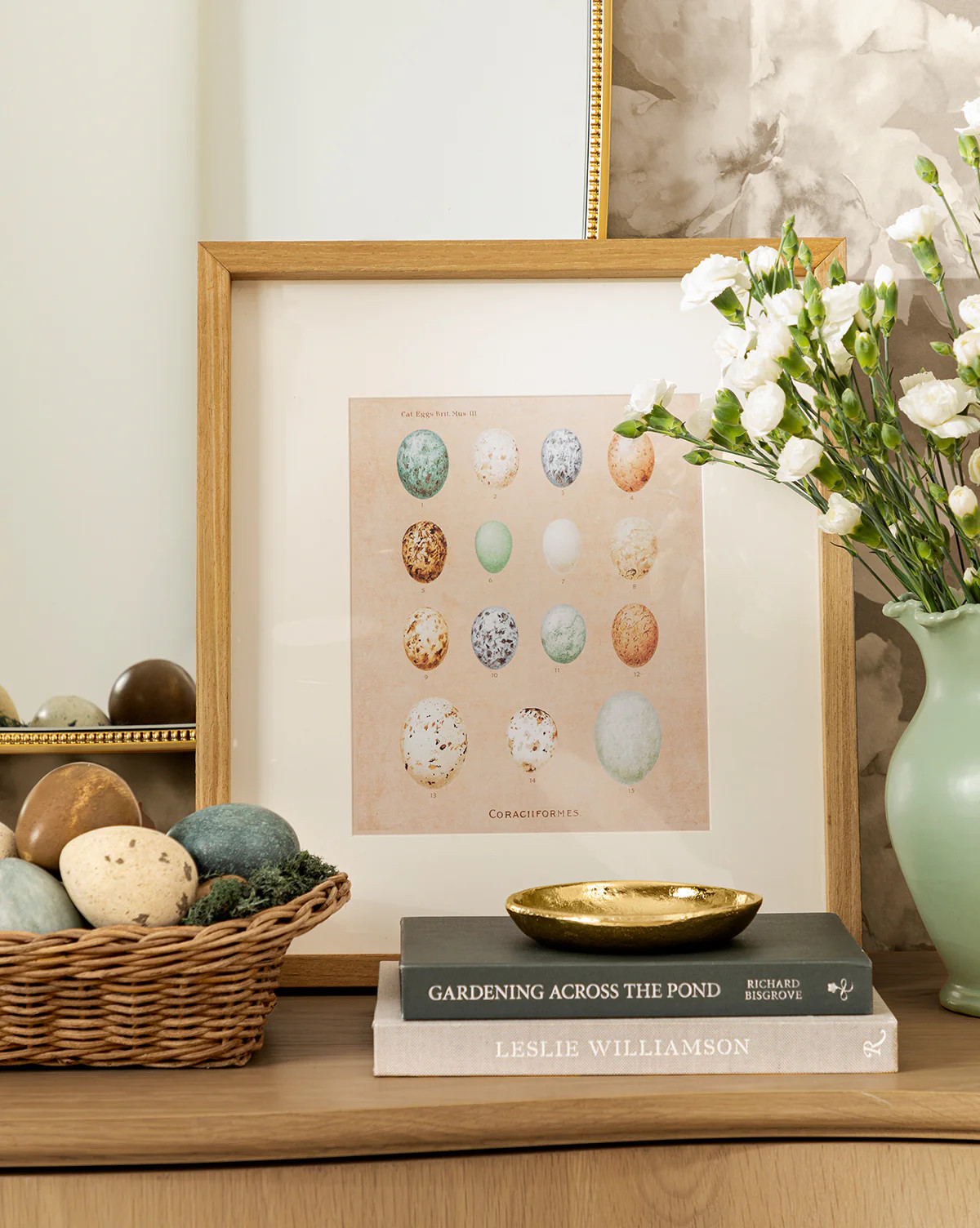 Ornithology Art | McGee & Co. (US)