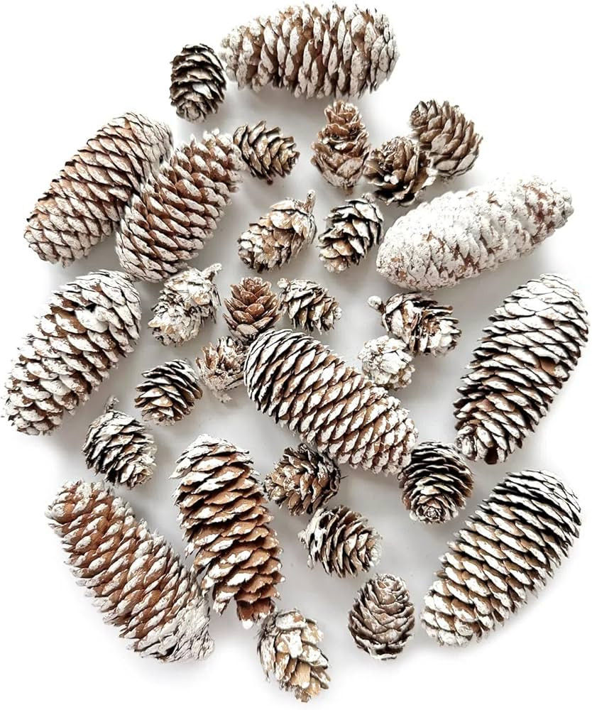 30PCS Christmas Pine Cones Decorations, Natural Snow Pinecones Bulk, Large and Mini Pine Cone for... | Amazon (US)