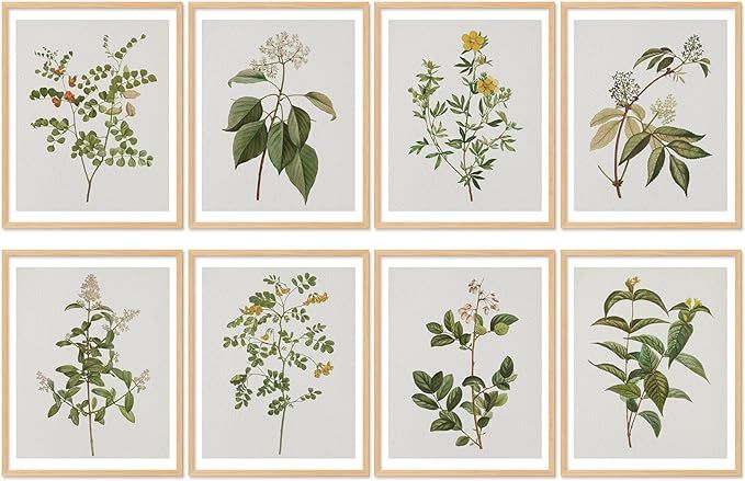 AnyDesign Greenery Gallery Wall Art Prints Set Vintage Herb Plants Posters Spring Paper Wall Arts... | Amazon (US)