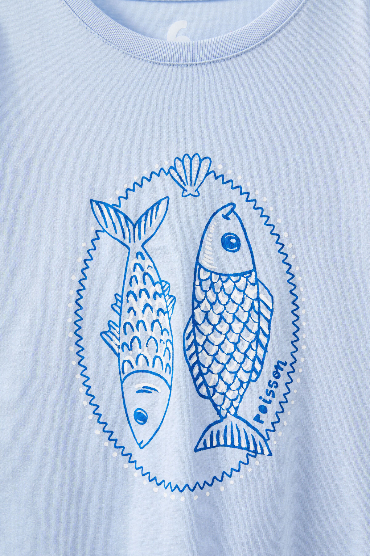 Poppy Short Sleeve Graphic Print Tee | Cotton On (US)