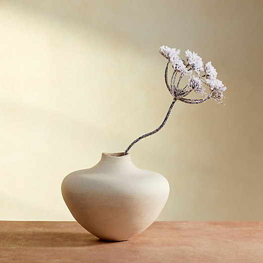 Snowy Faux Hogweed Stem | Terrain