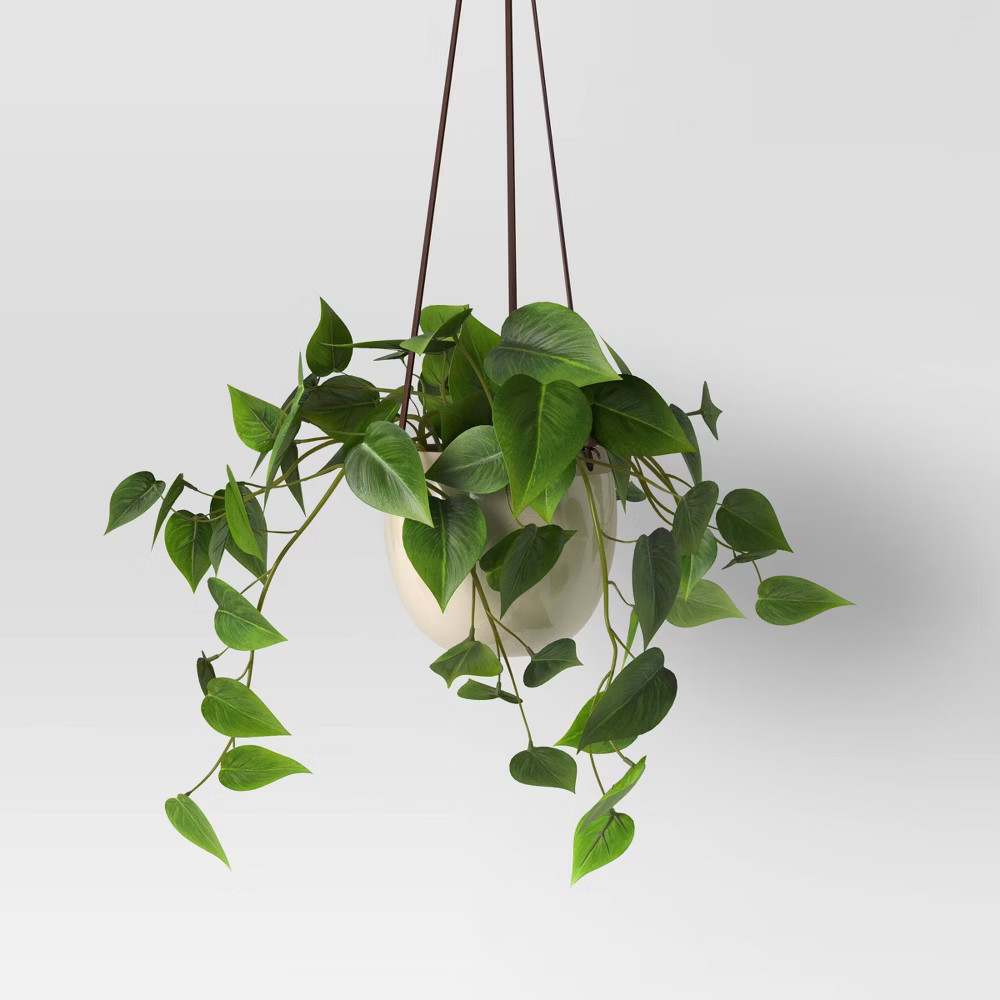 Wall Hanging Plant - Threshold | Target