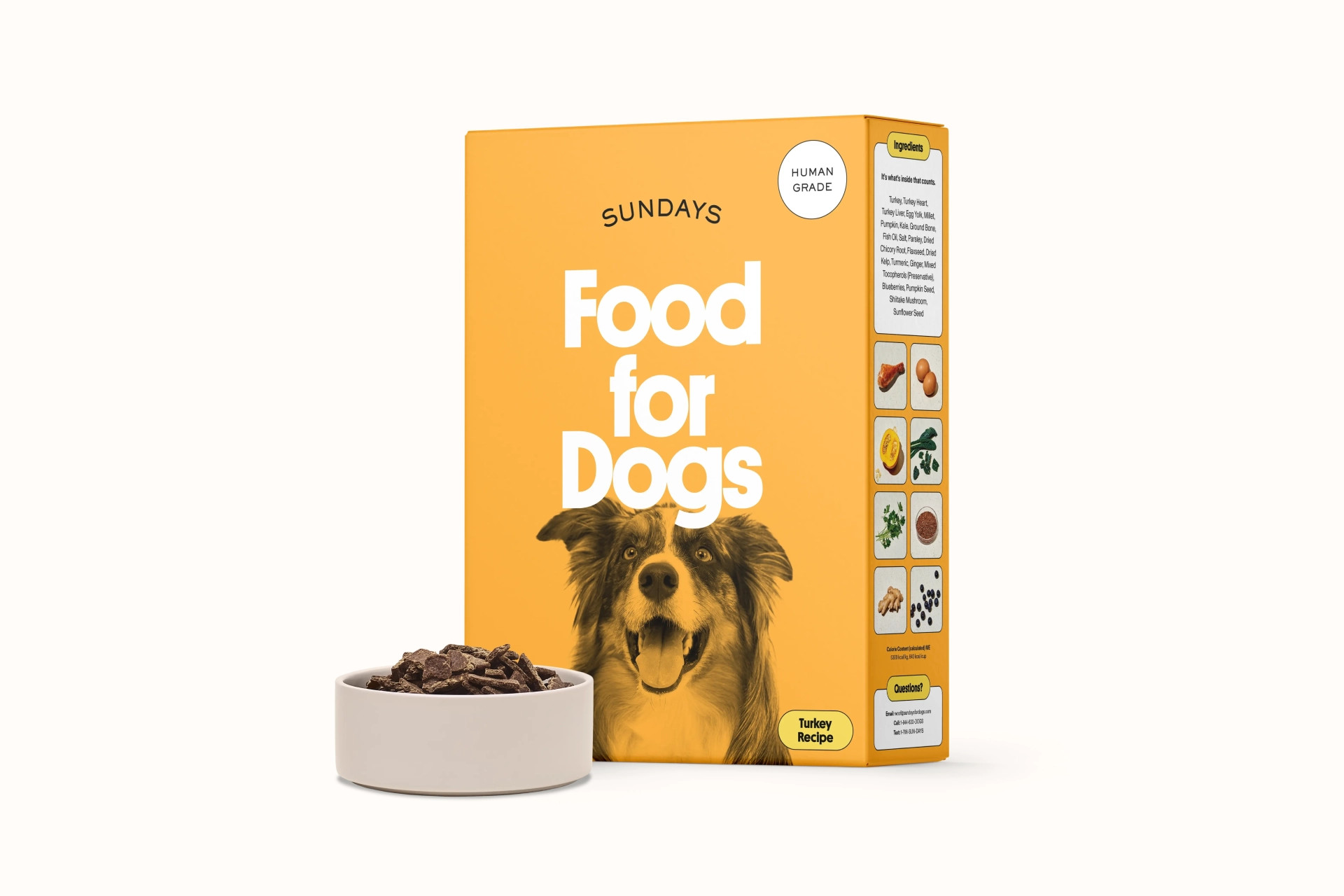All-Natural Turkey Dog Food | Sundays for Dogs