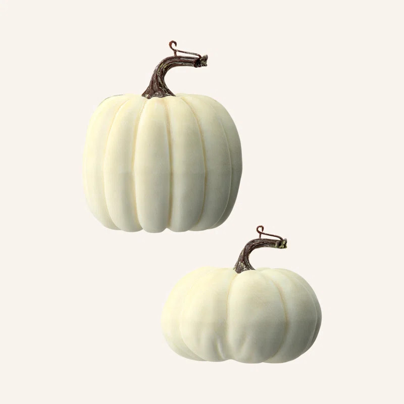 2 Piece Waterproof Weathered Pumpkin Set | Wayfair North America