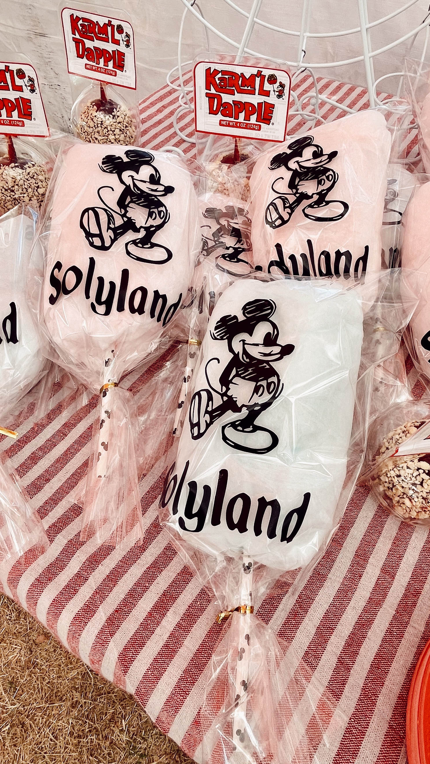 Vintage Disneyland DIY Cotton Candy Bags 

#LTKFamily #LTKParties #LTKKids