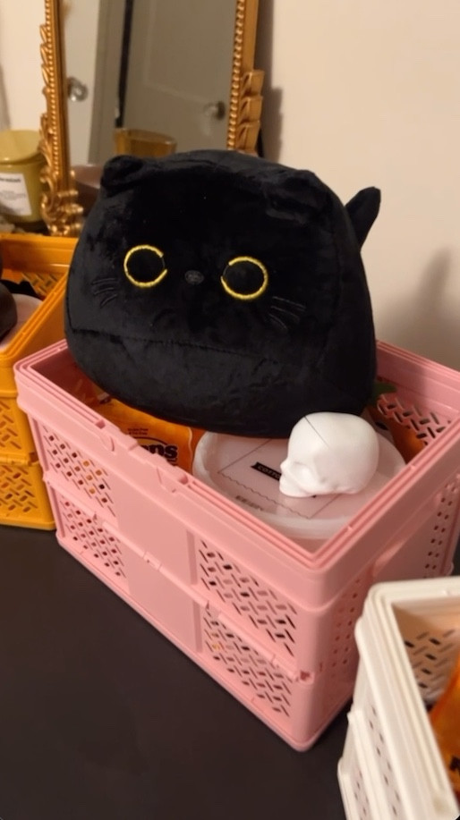 Build Boo Baskets with me! All products are either from target or amazon! 

tags: halloween, fall, gifts for her, boo basket, gift basket, cat, girls, cute 

#LTKGiftGuide #LTKHalloween