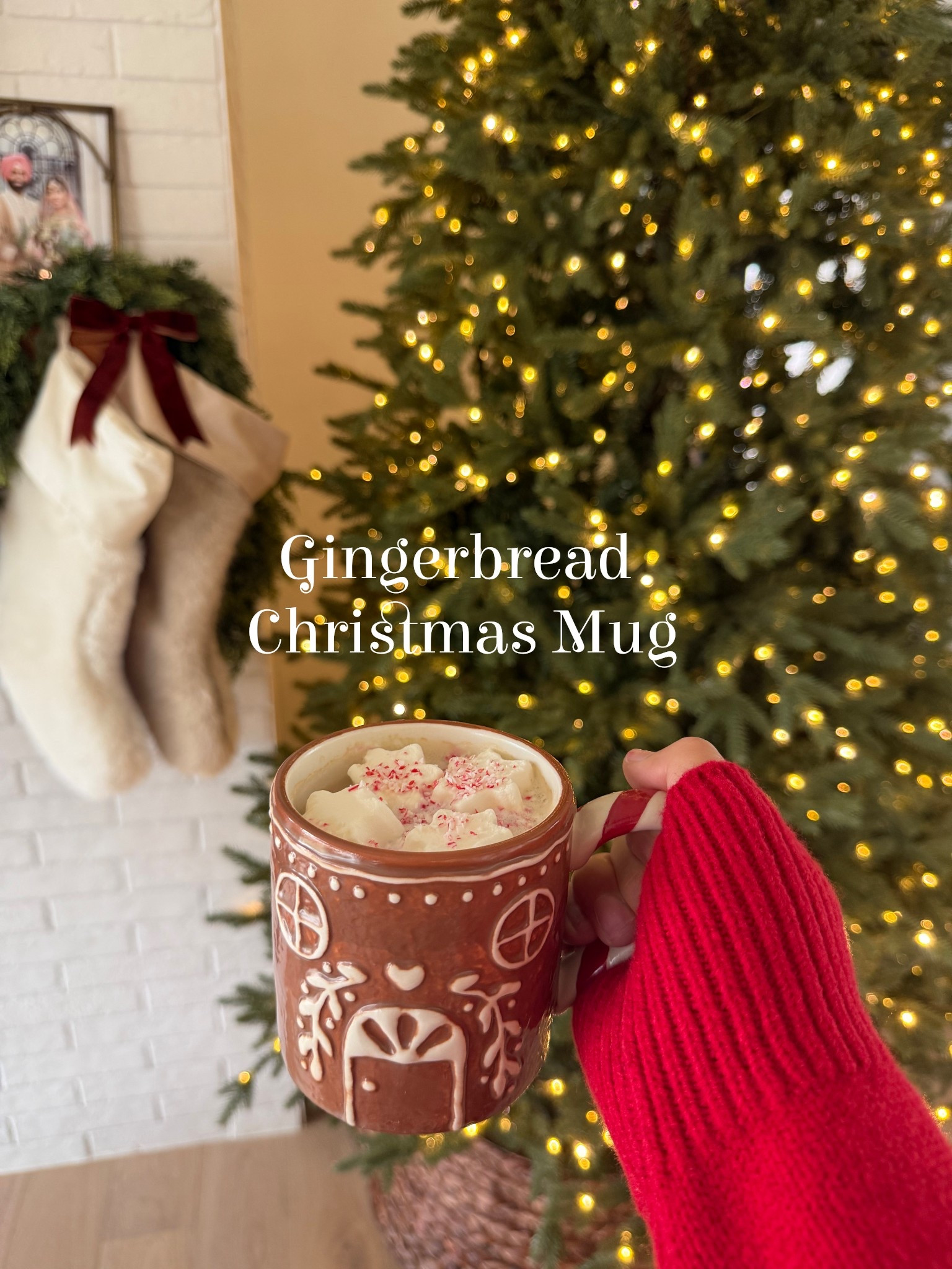 These gingerbread holidays mugs for your morning coffee or hot chocolate are all you need this festive season! And they come individually boxed, making the perfect gift or stocking stuffer!

#LTKHome #LTKHoliday #LTKGiftGuide
