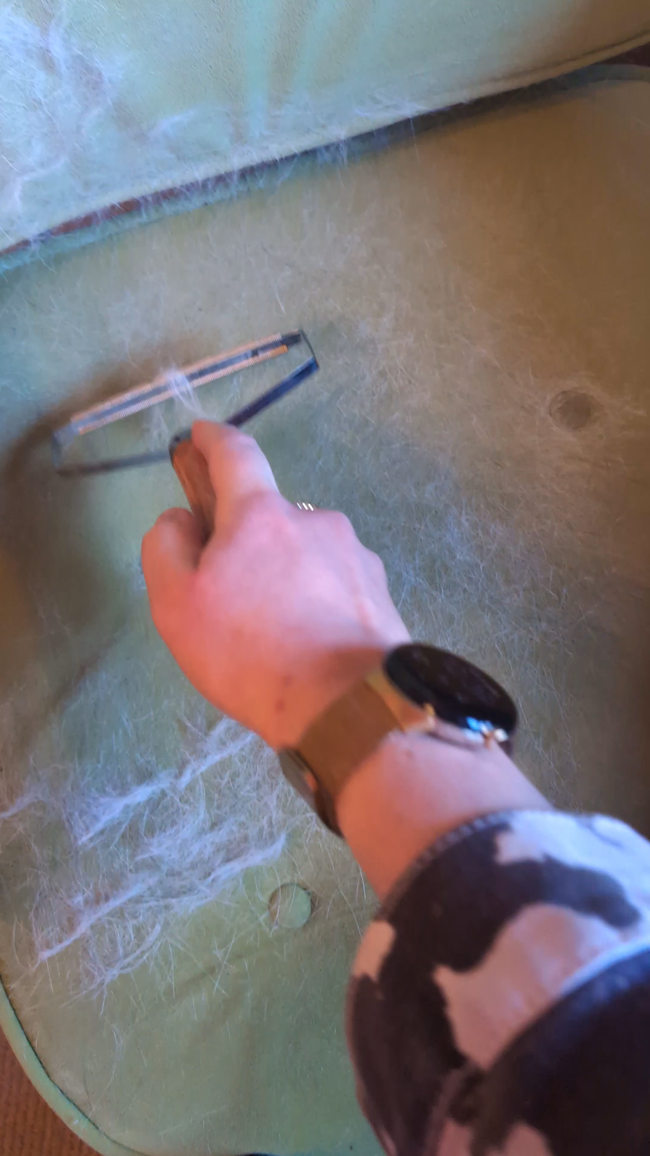 Essential pet hair remover tool for pet parents 🐾

#LTKuk #LTKpets #LTKhome