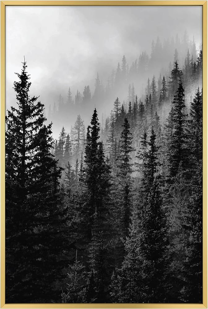 MCS Master & Co. Foundry Metal Gallery Wall Frame, Brass, 16 x 24 in without mat | Amazon (US)