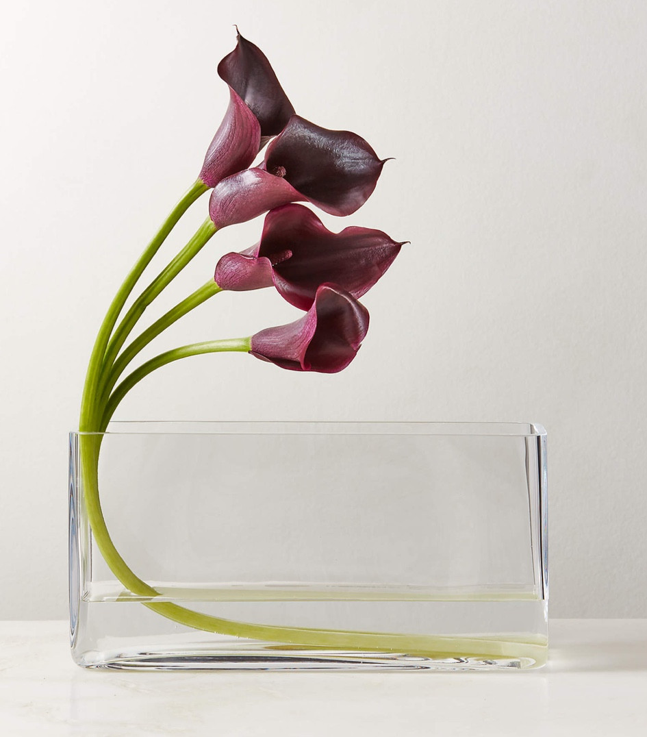 Ardin Clear Glass Vase

Handblown by artisans in Poland, rectangular clear glass vase stands out as the centerpiece on the table. Skilled glassblowers blow each vase by hand, creating a low profile that can be used for freshly cut stems or as a planter for succulents and other lush houseplants. CB2 exclusive.

#LTKParties #LTKStyleTip #LTKHome