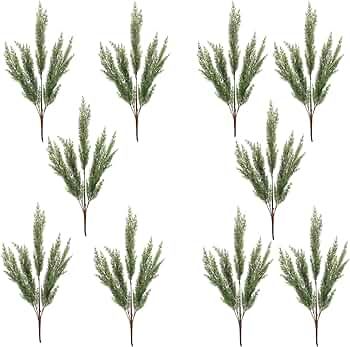 PRTECY 10Pcs Artificial Cypress Branches, 20.5 Inch Faux Greenery Pine Picks Long Stem Cedar Spri... | Amazon (US)