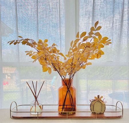 This table tray setup is perfect for fall 🍁 does anyone else think the willow and canvas diffuser scents from Hearth & Hand are seriously the best?!

#target #amazon #falldecor

#LTKhome #LTKSeasonal #LTKunder50