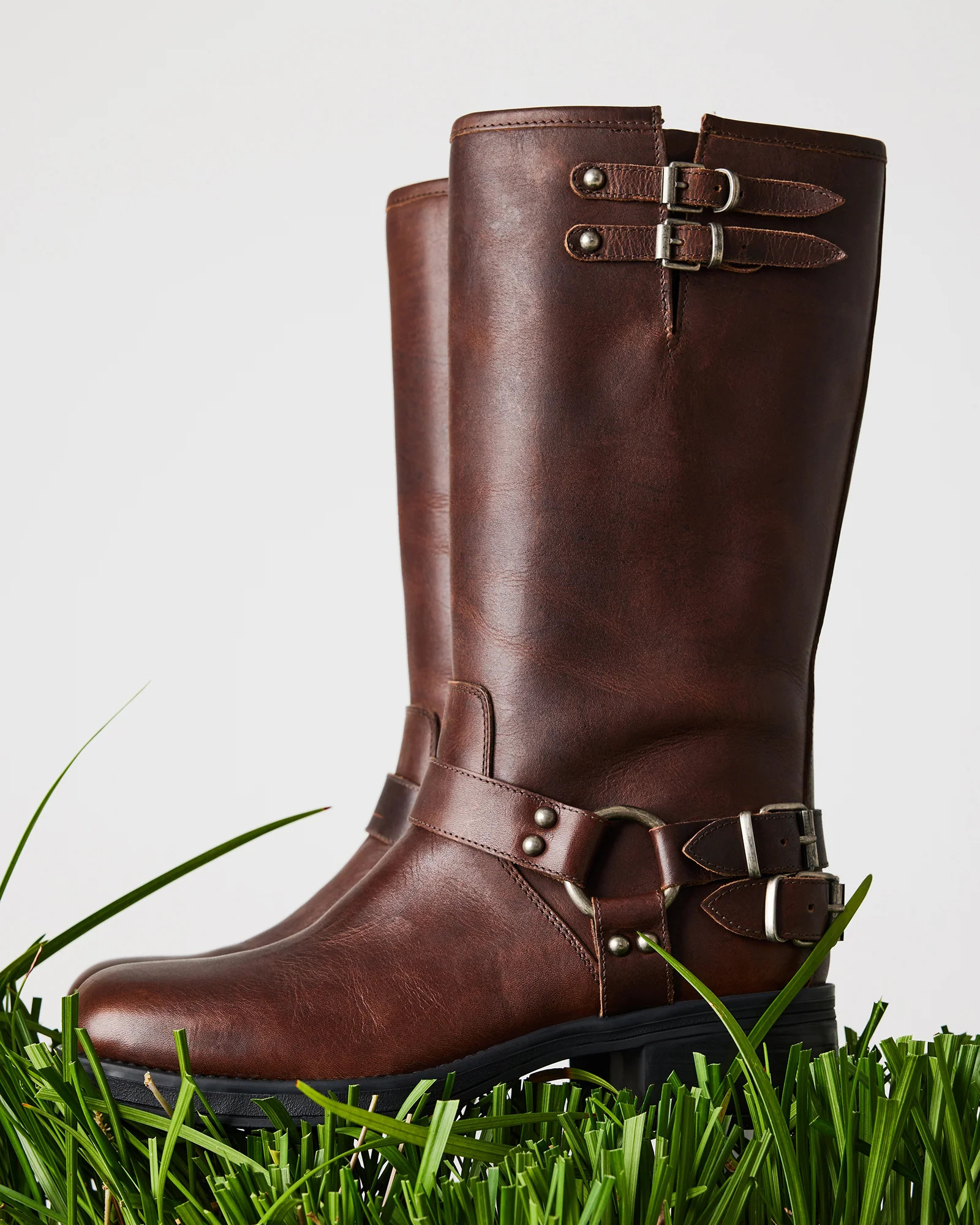 Astor Brown Leather | Steve Madden (US)