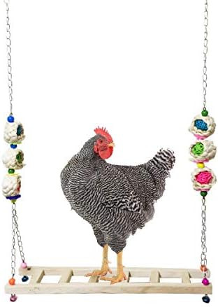 Vehomy Chicken Swing Chicken Perch Chicken Wood Ladder Stand Chicken Toy for Hens Handmade Chicke... | Amazon (US)
