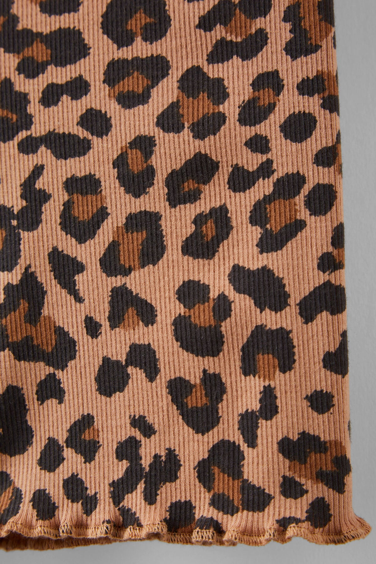 Hailey Bike Short | Cotton On (US)