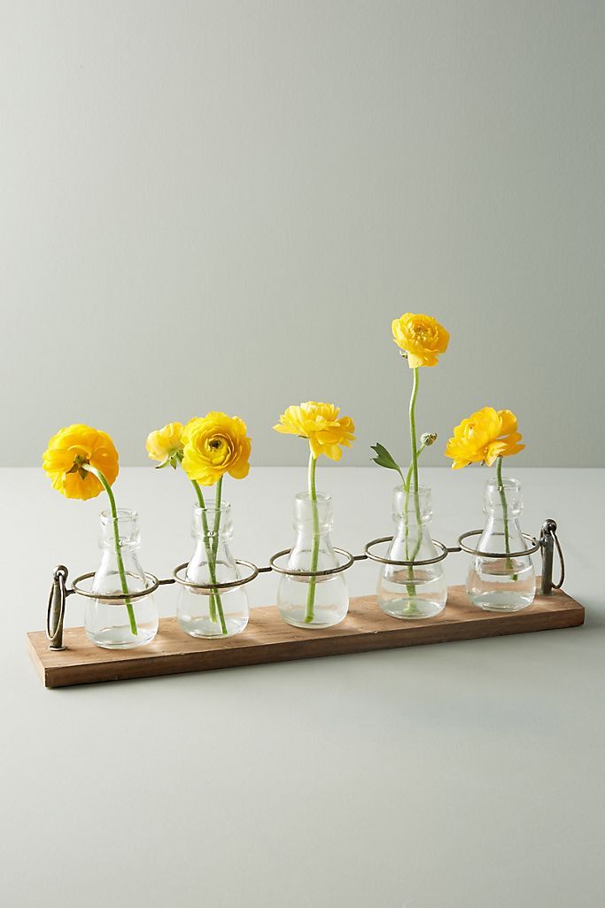 Apothecary Bud Vases, Set of 5 | Anthropologie (US)