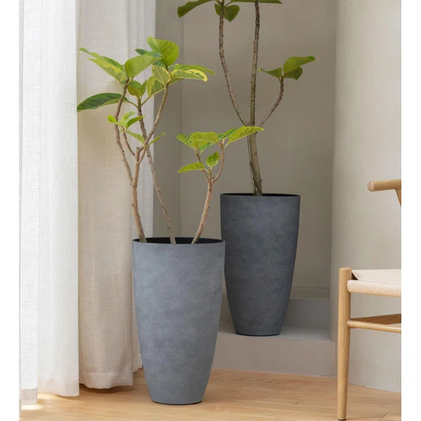 2-Piece Plastic Pot Planter Set (Set of 2) | Wayfair North America